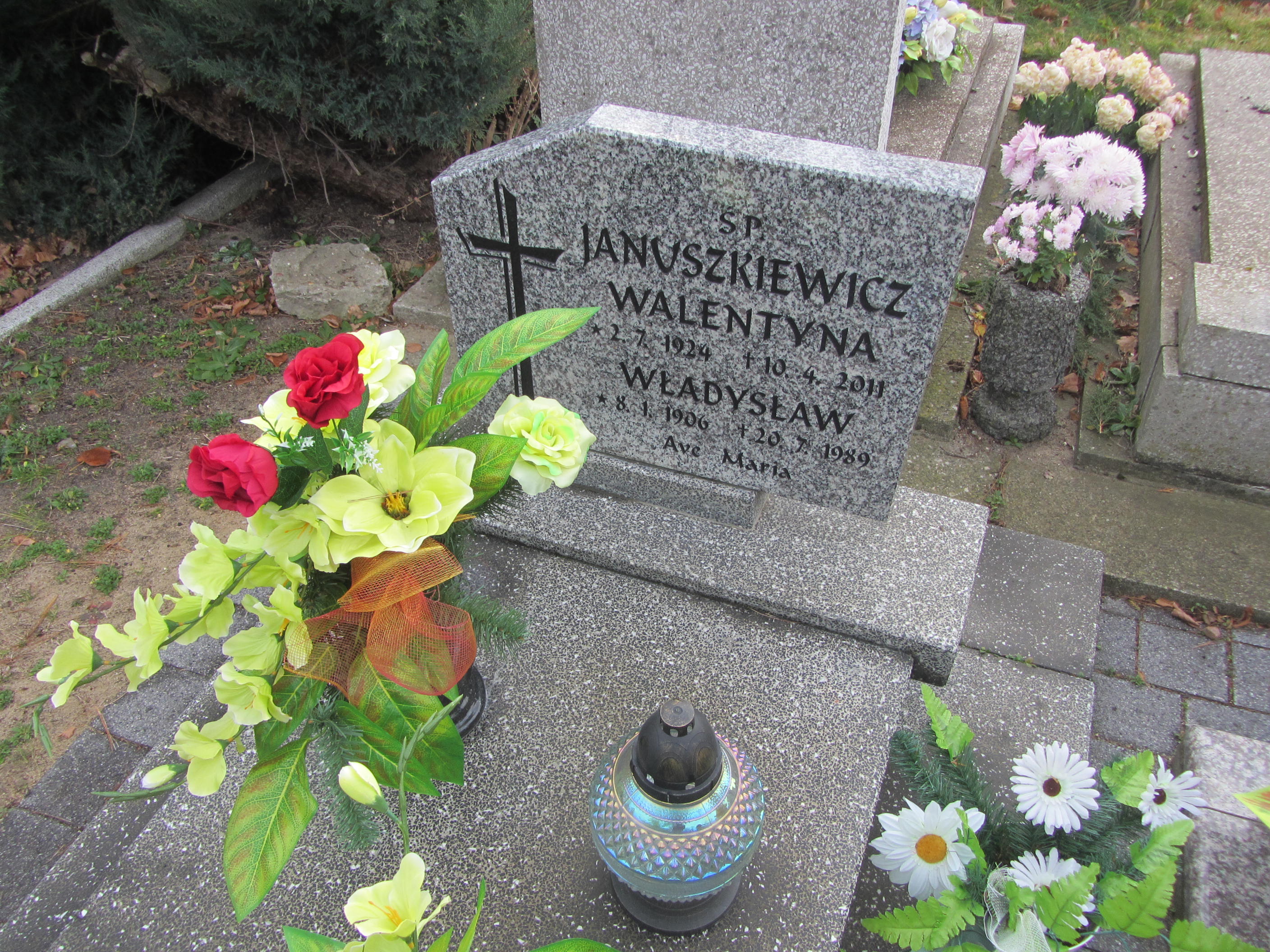 Grób Władysław Januszkiewicz