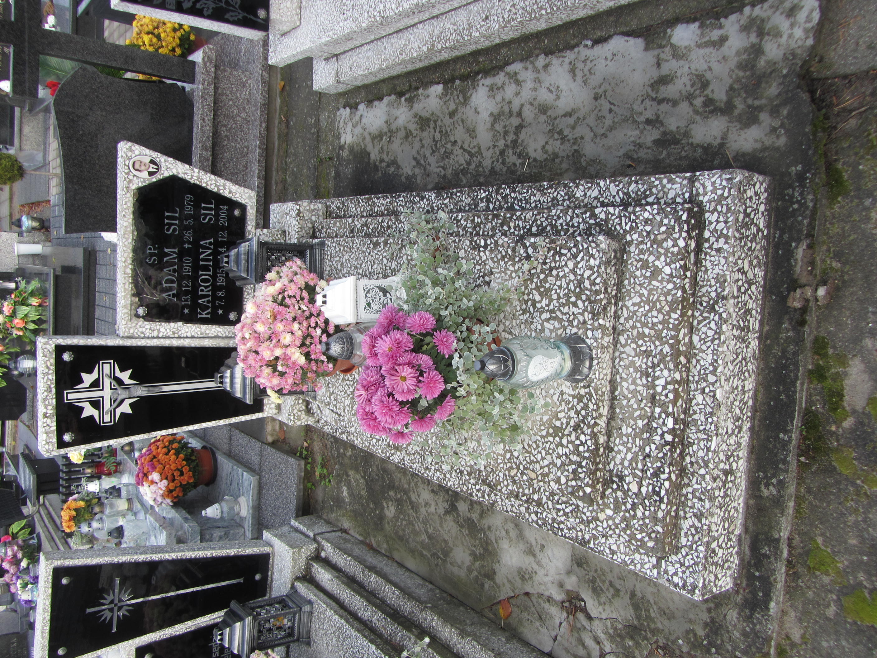 Adam Sil 1942 Syców - Grobonet - Wyszukiwarka osób pochowanych