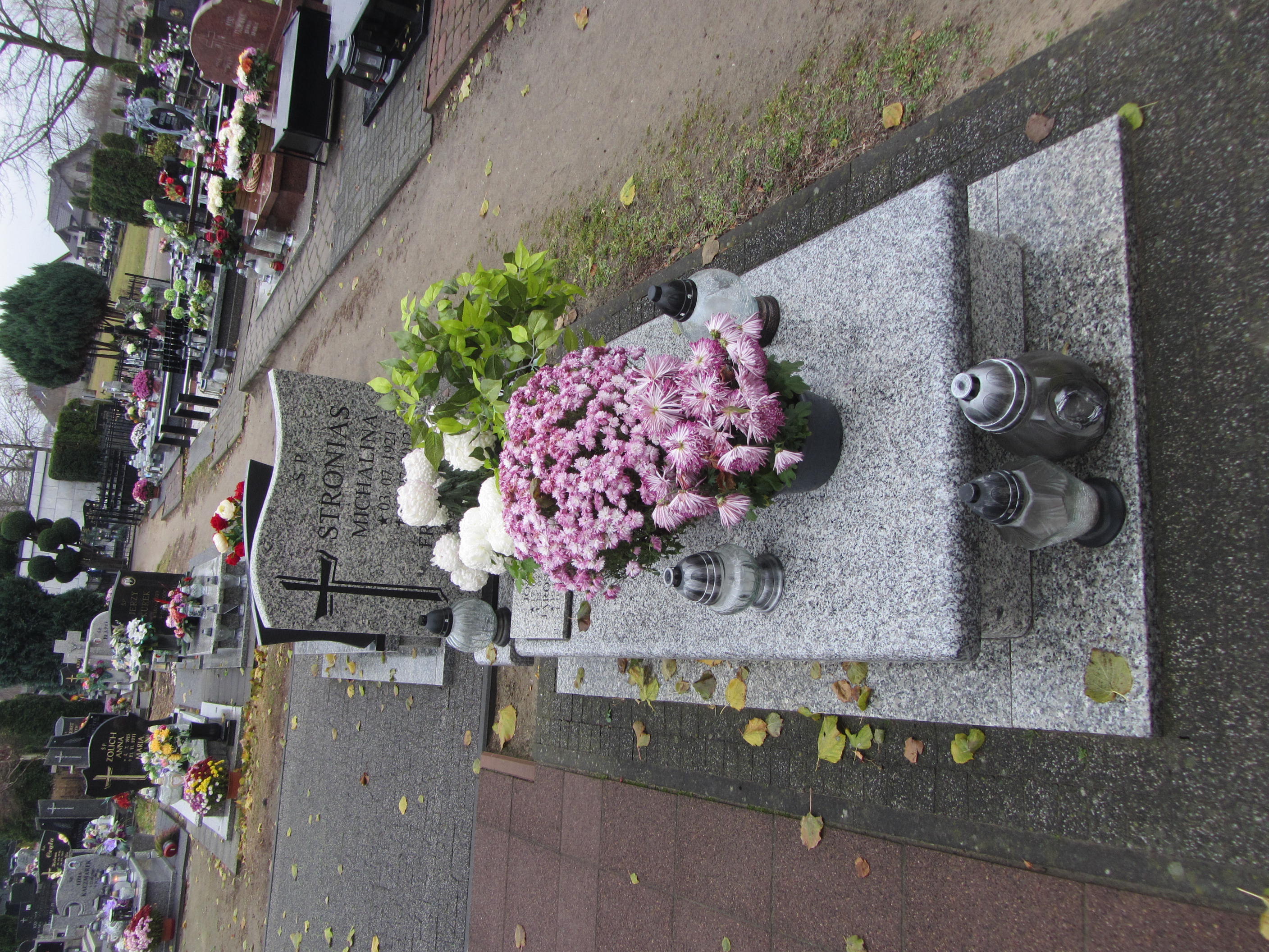 Jarosław Stronias 1954 Syców - Grobonet - Wyszukiwarka osób pochowanych