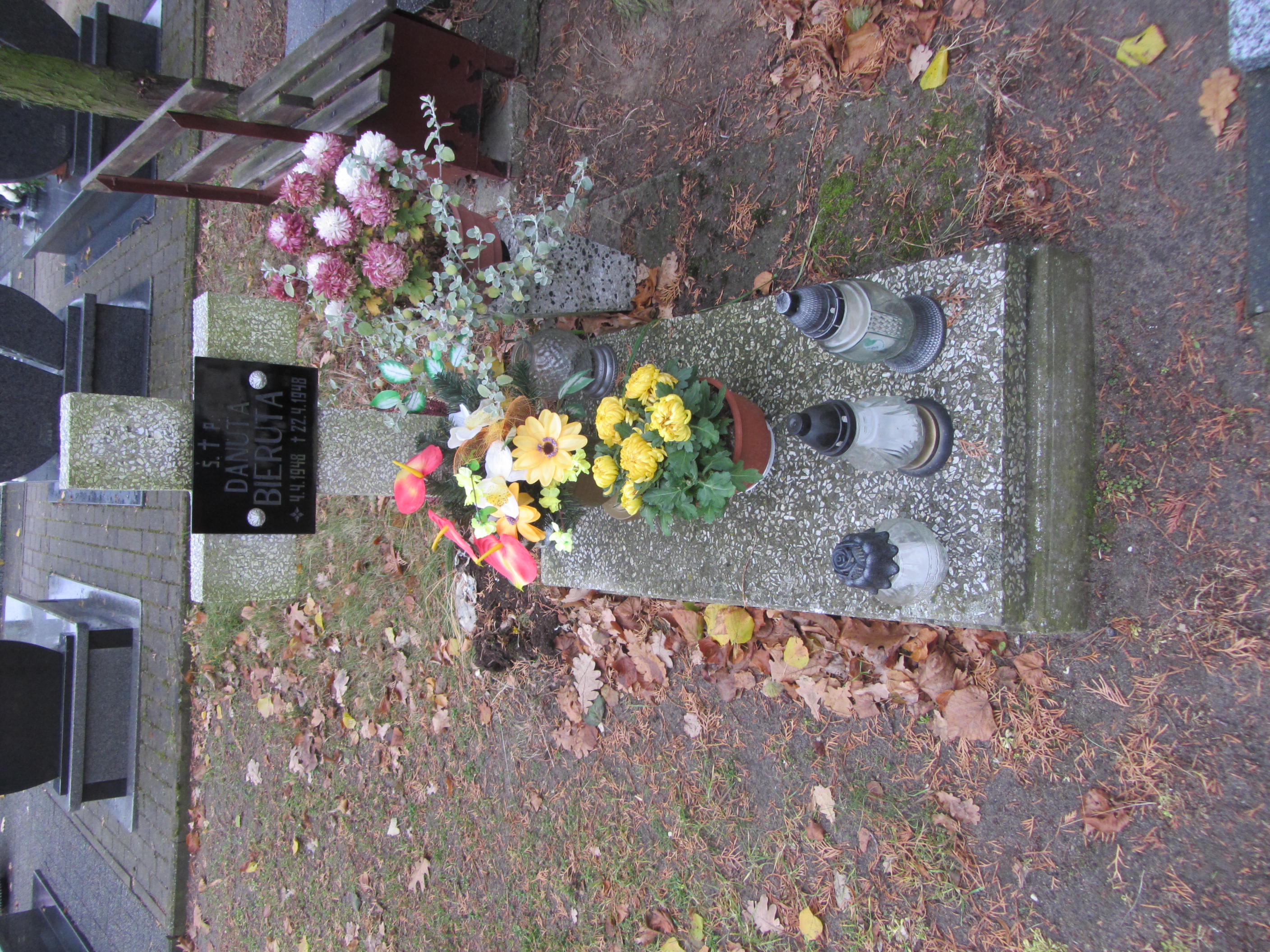 Danuta Bieruta 1948 Syców - Grobonet - Wyszukiwarka osób pochowanych