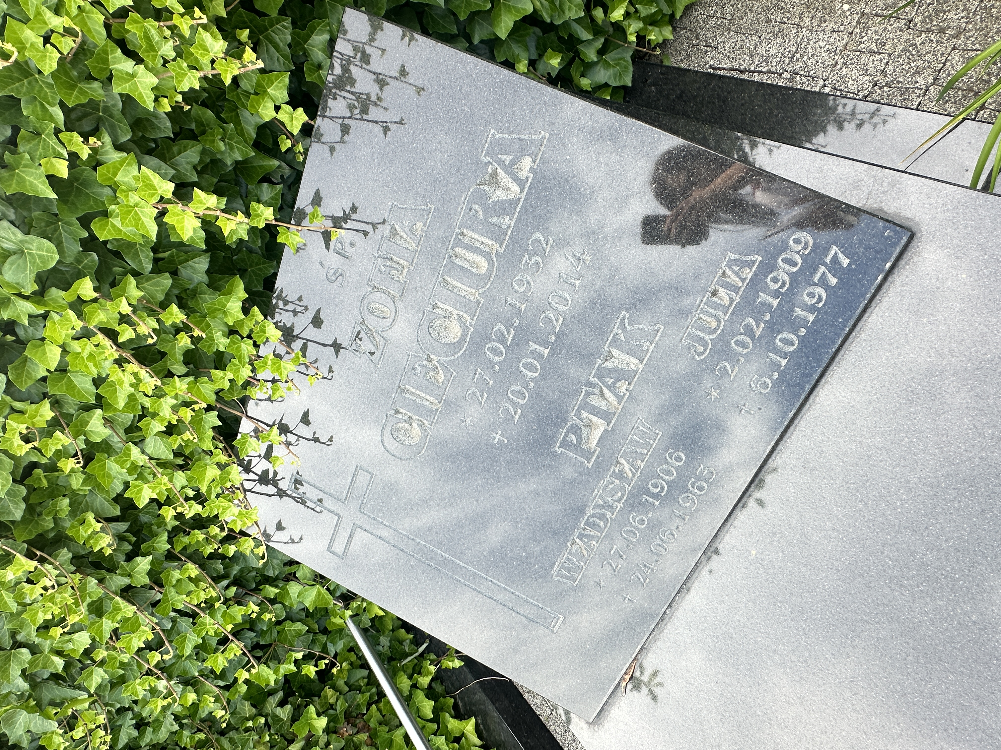 Grób Zofia Cieciura