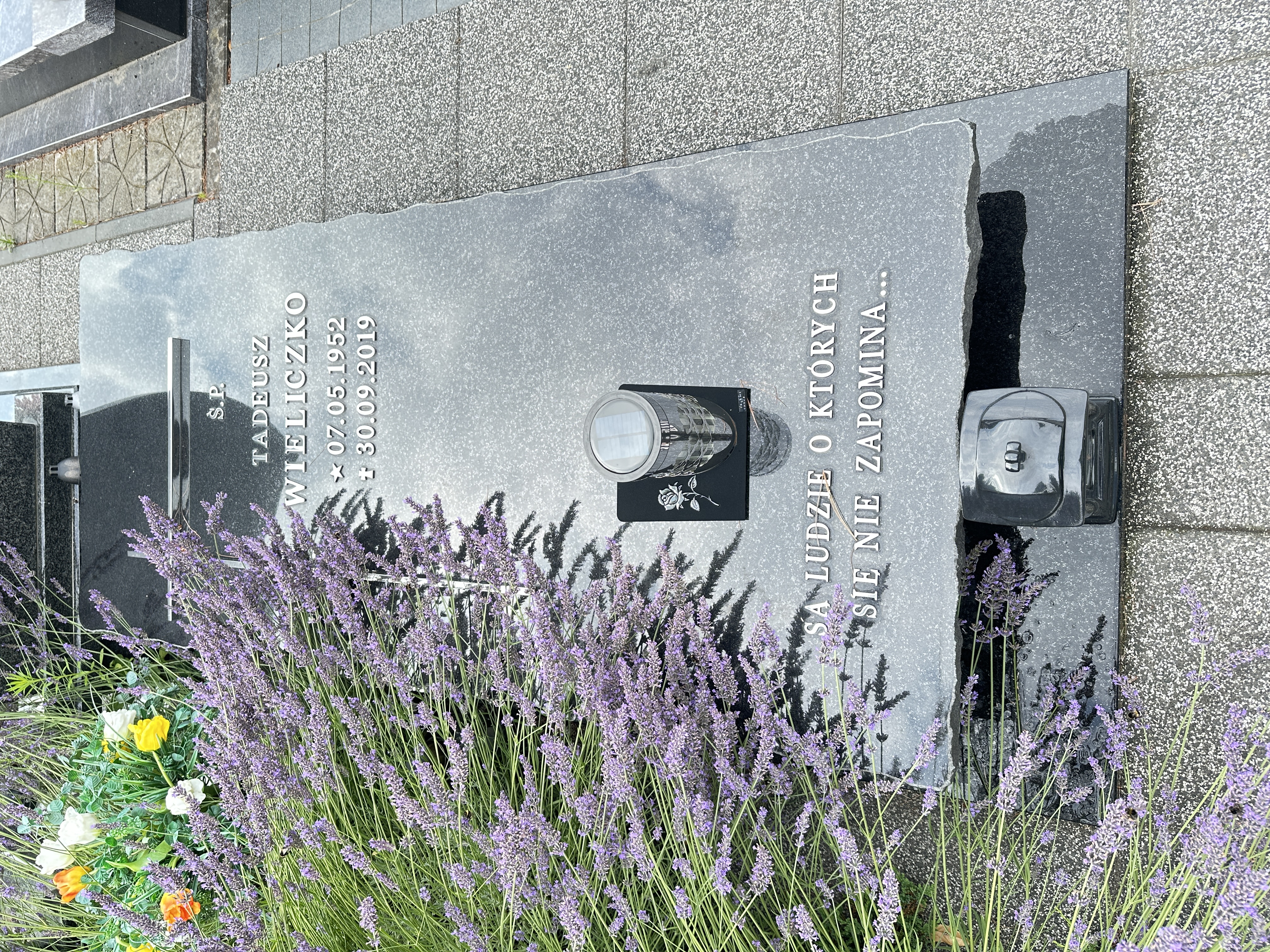 Tadeusz Wieliczko 1952 Syców - Grobonet - Wyszukiwarka osób pochowanych