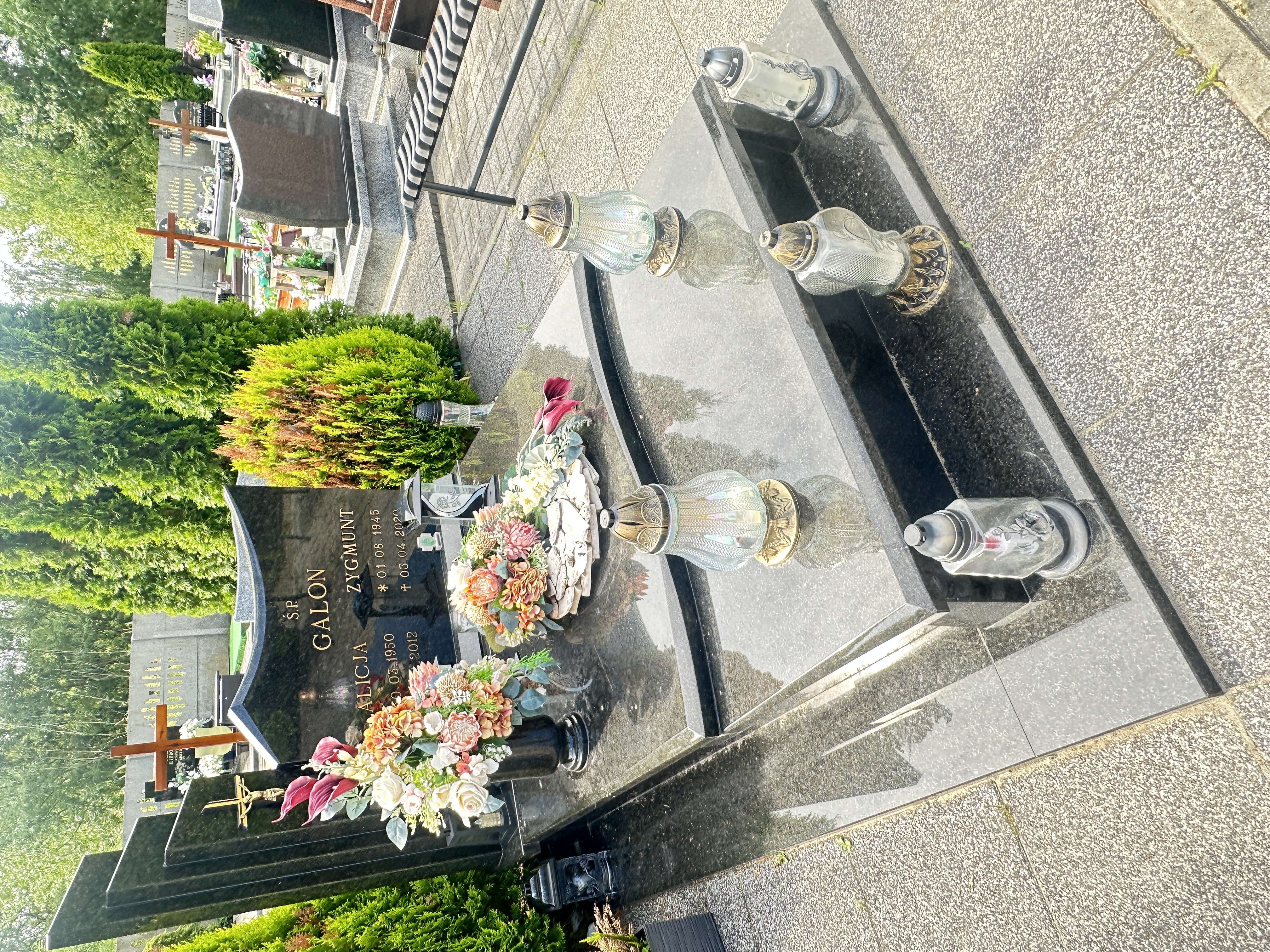 Alicja Galon 1950 Syców - Grobonet - Wyszukiwarka osób pochowanych