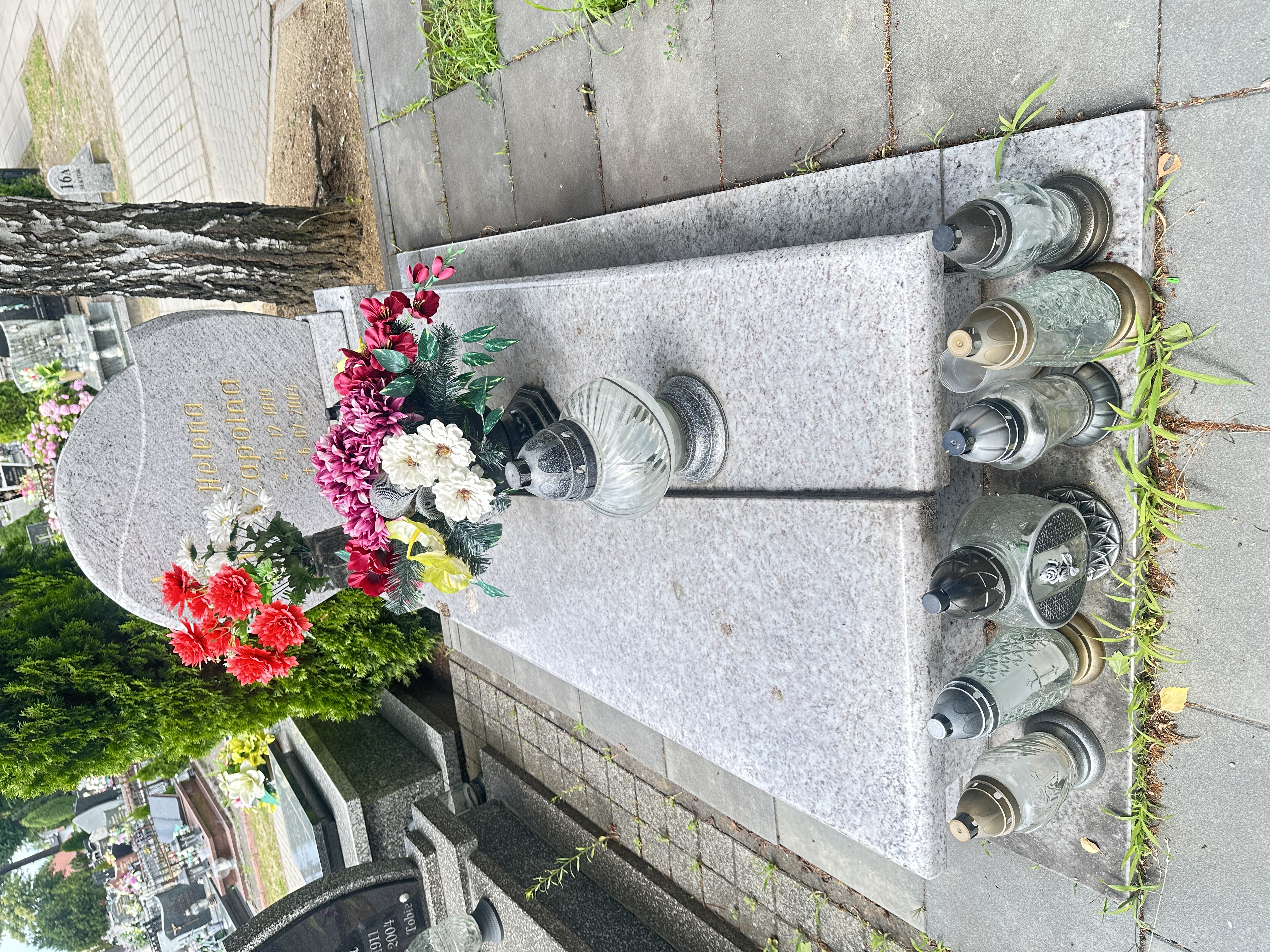 Helena Zapolna 1919 Syców - Grobonet - Wyszukiwarka osób pochowanych