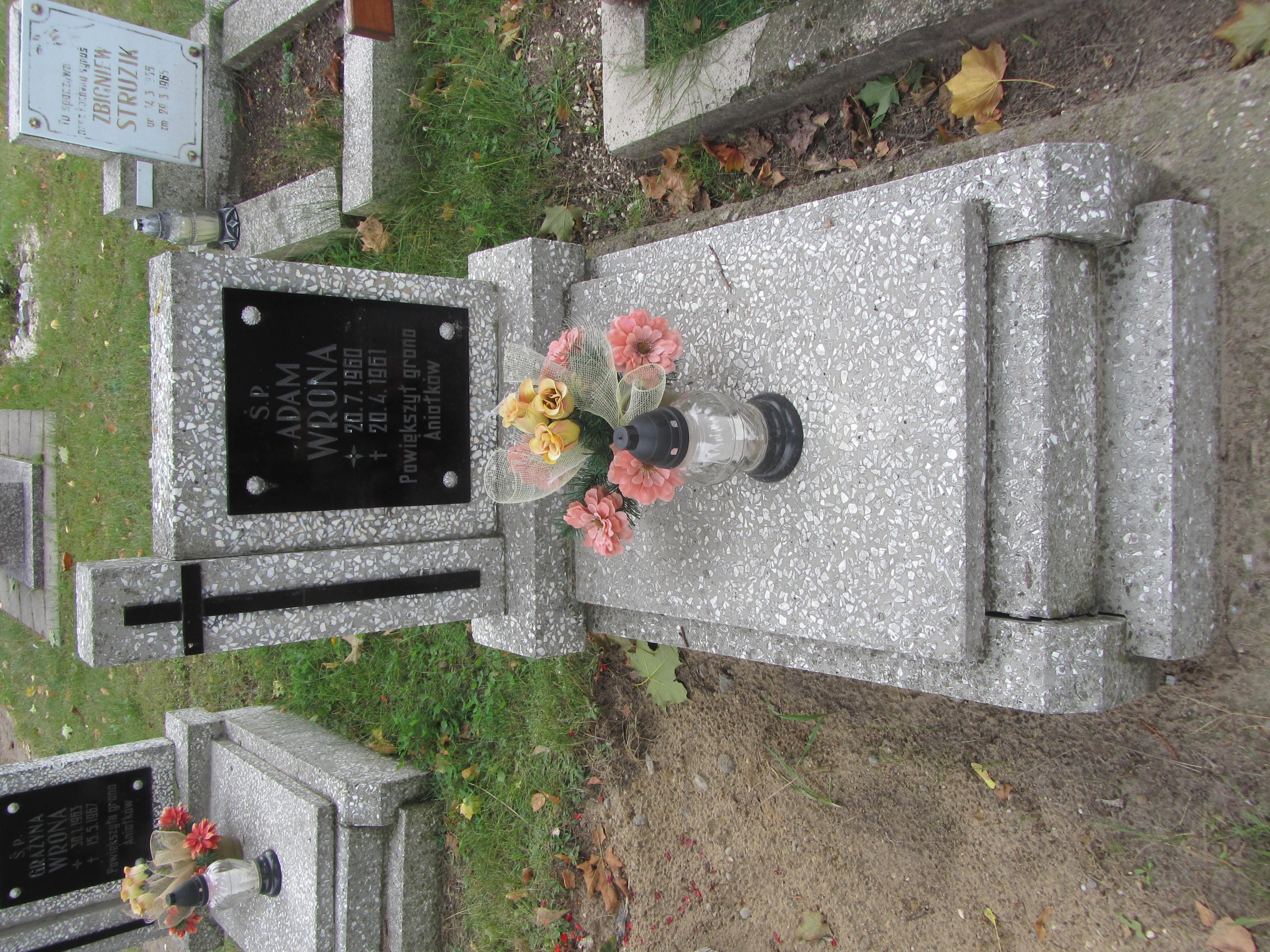Adam Wrona 1960 Syców - Grobonet - Wyszukiwarka osób pochowanych