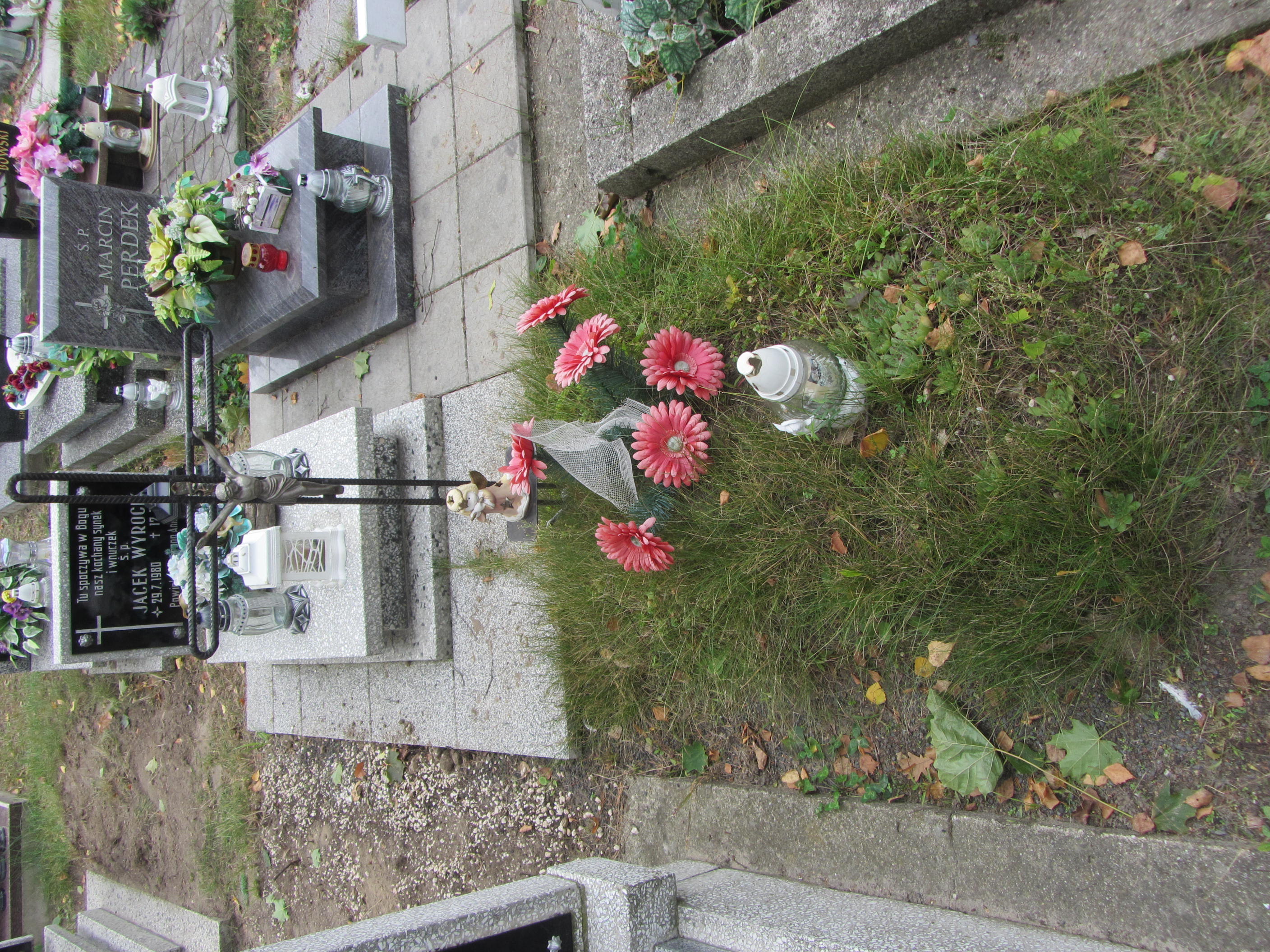  NN Syców - Grobonet - Wyszukiwarka osób pochowanych