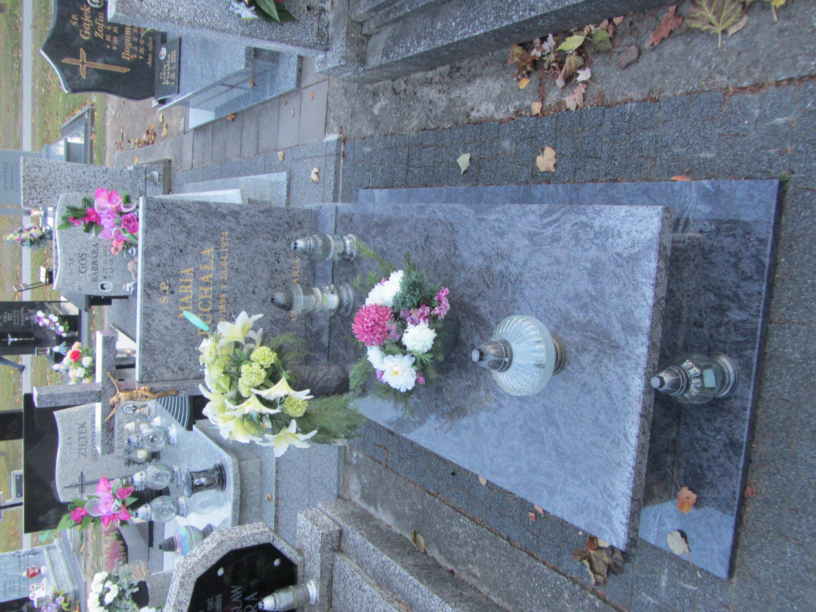 Maria Puchała 1898 Syców - Grobonet - Wyszukiwarka osób pochowanych