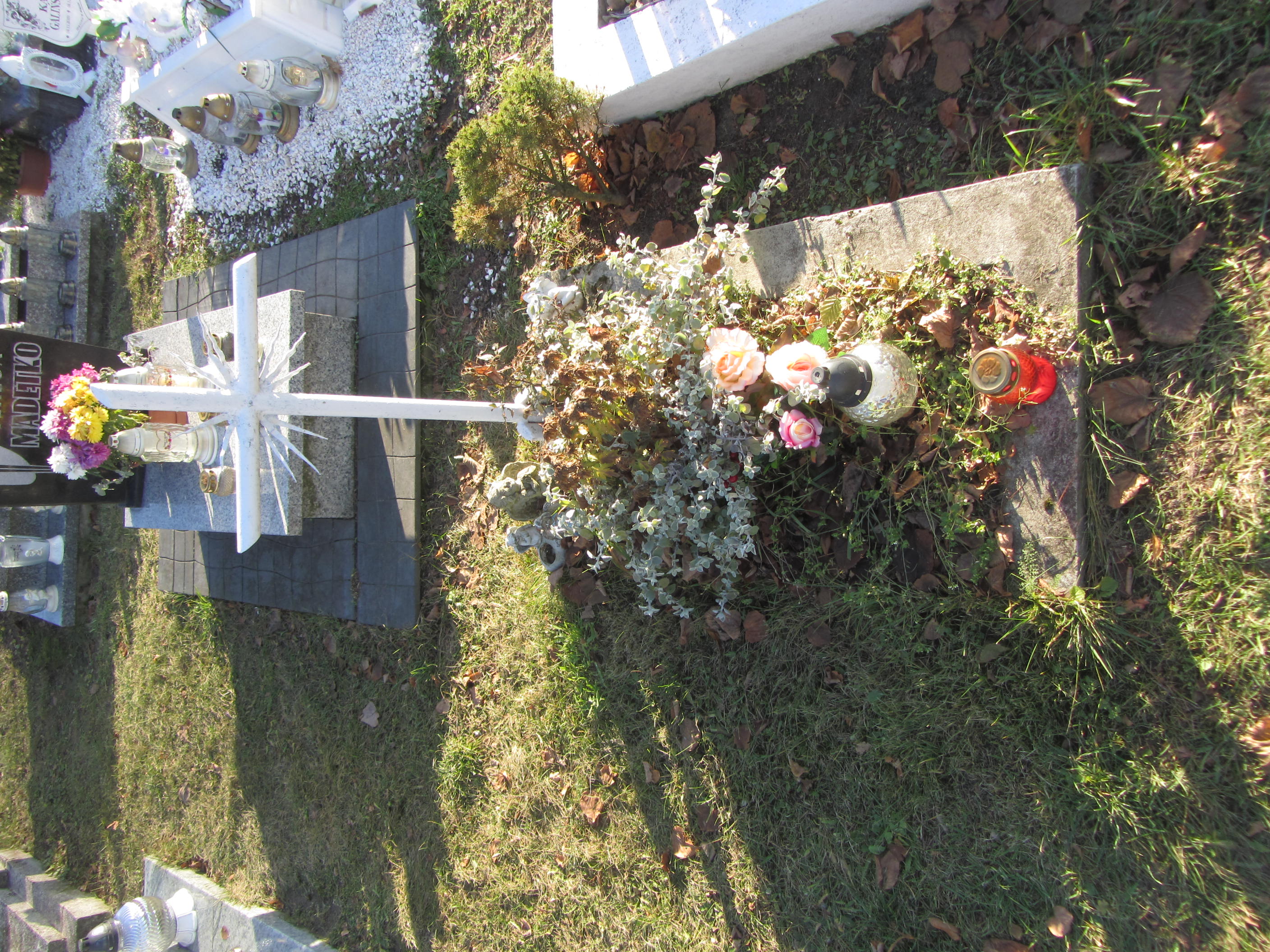  NN Syców - Grobonet - Wyszukiwarka osób pochowanych