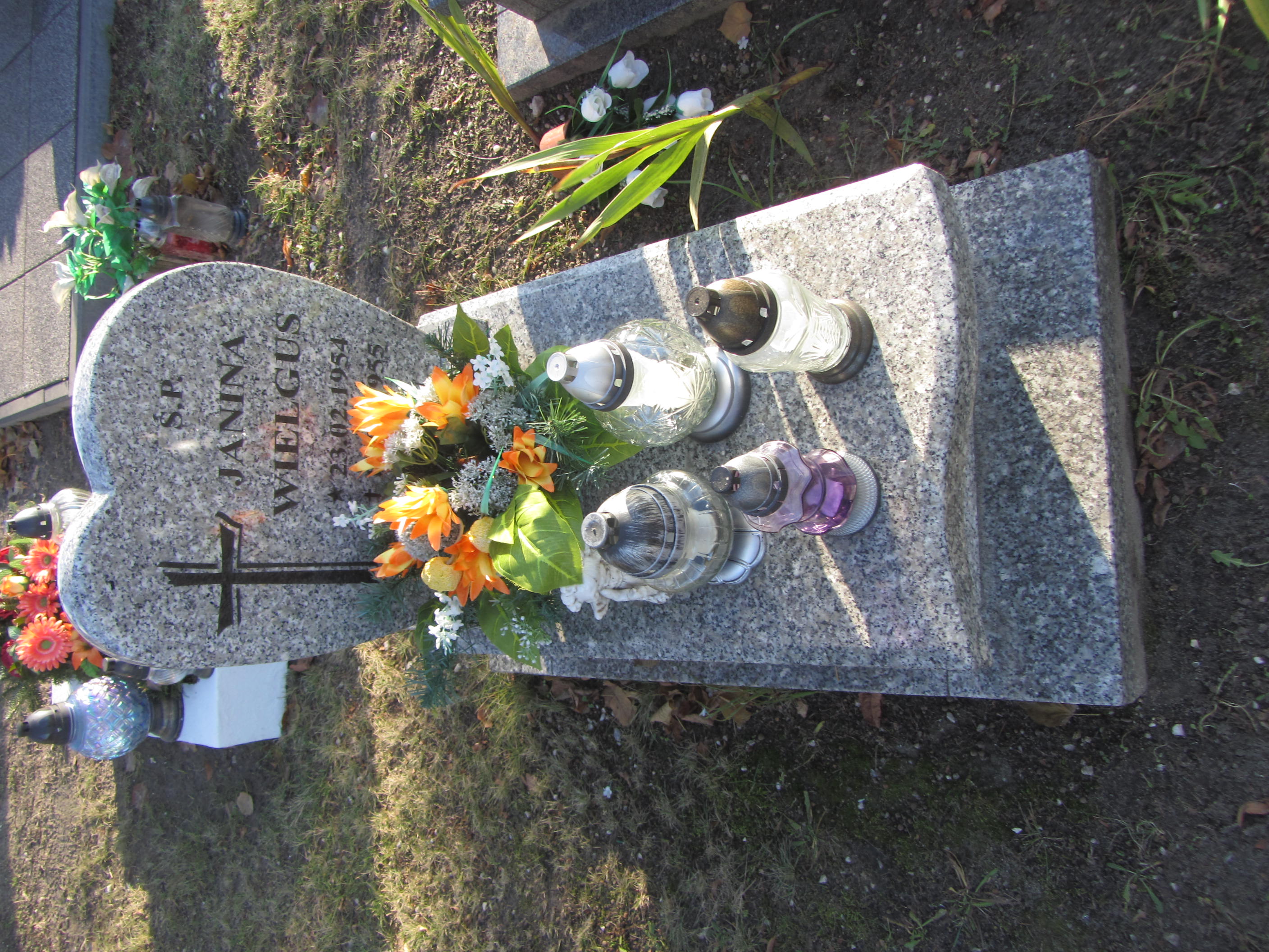 Janina Wielgus 1954 Syców - Grobonet - Wyszukiwarka osób pochowanych