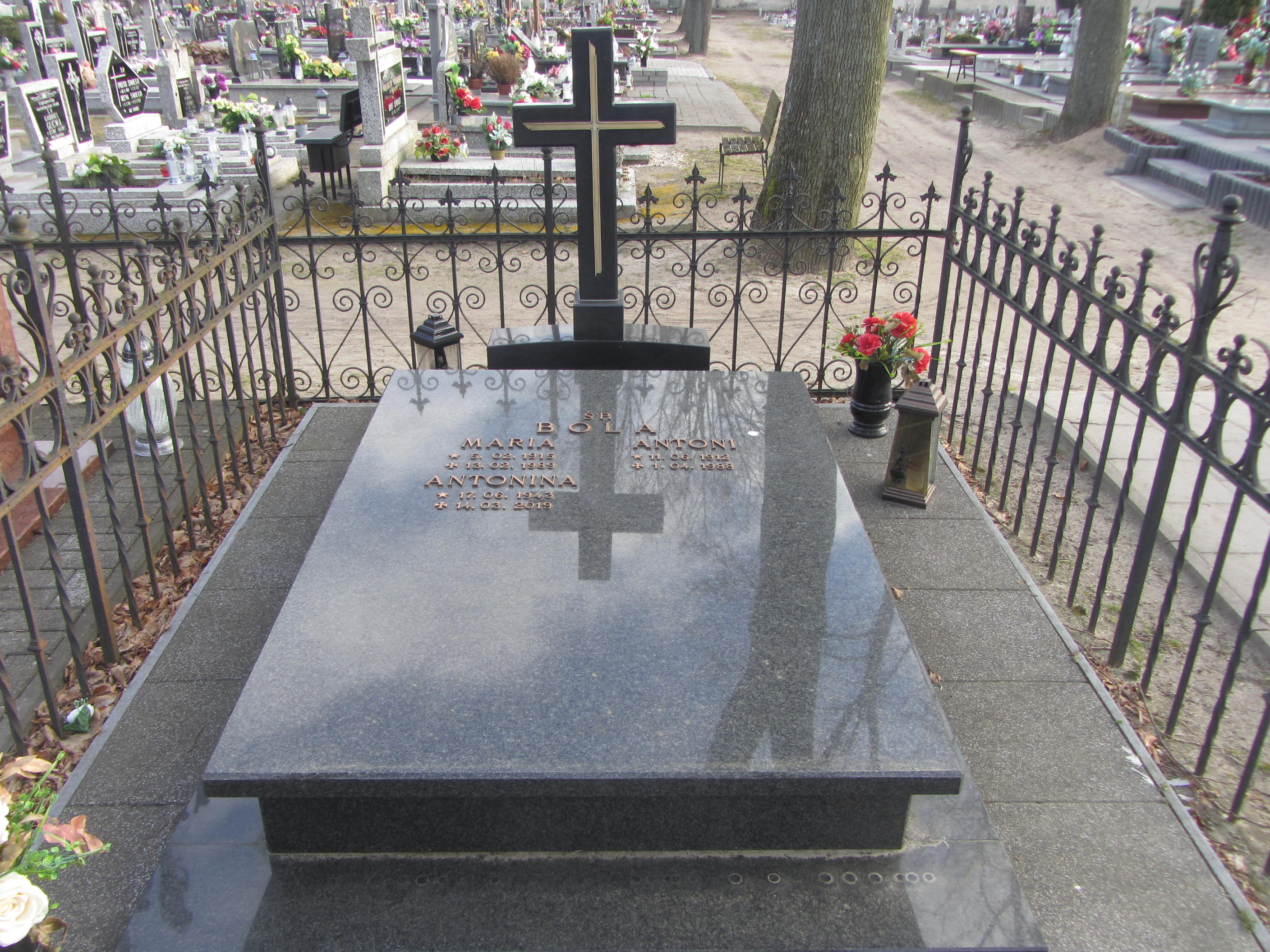 Antoni Bola 1912 Syców - Grobonet - Wyszukiwarka osób pochowanych