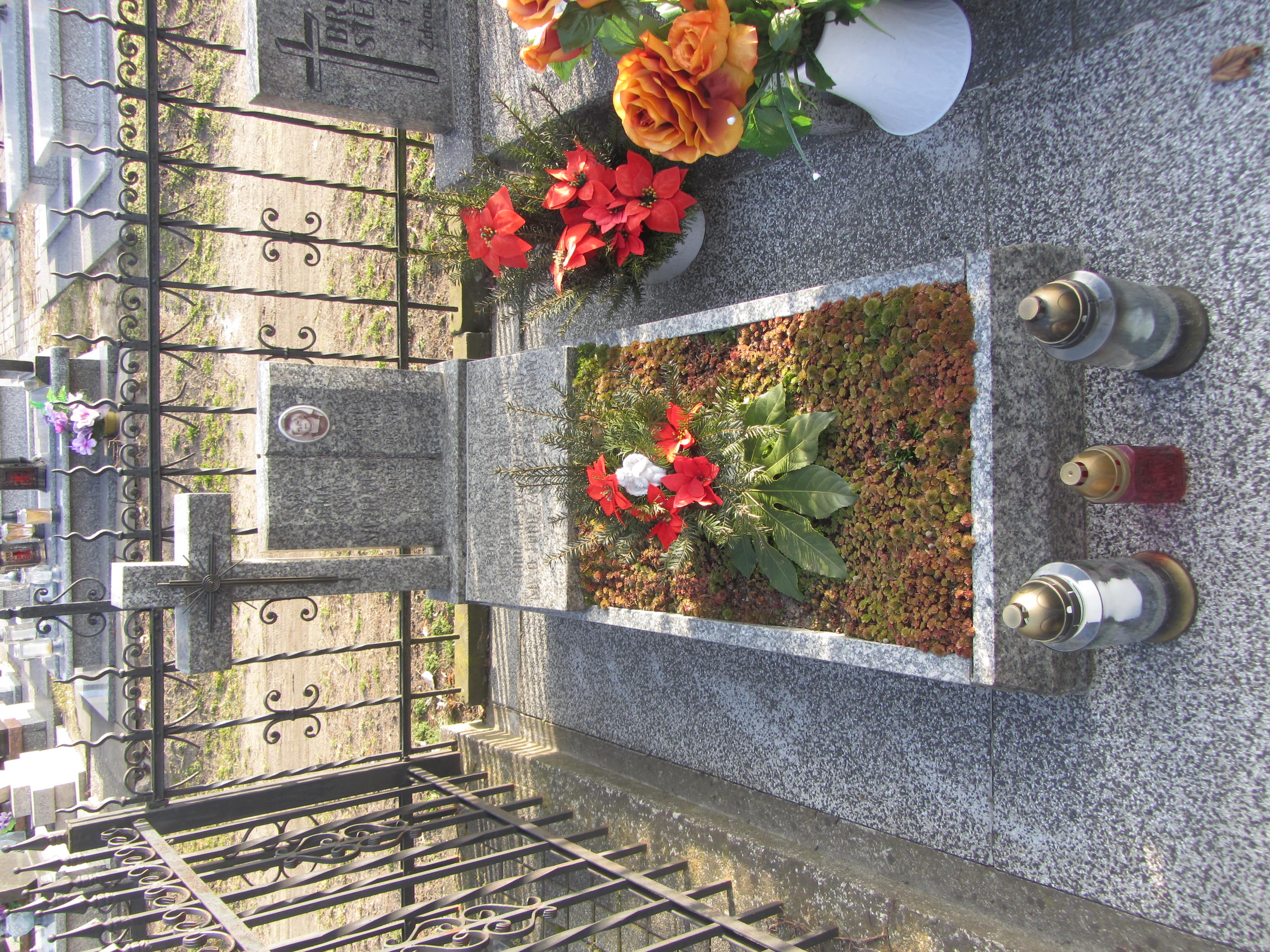 Daria Anna Szczepanek 1979 Syców - Grobonet - Wyszukiwarka osób pochowanych