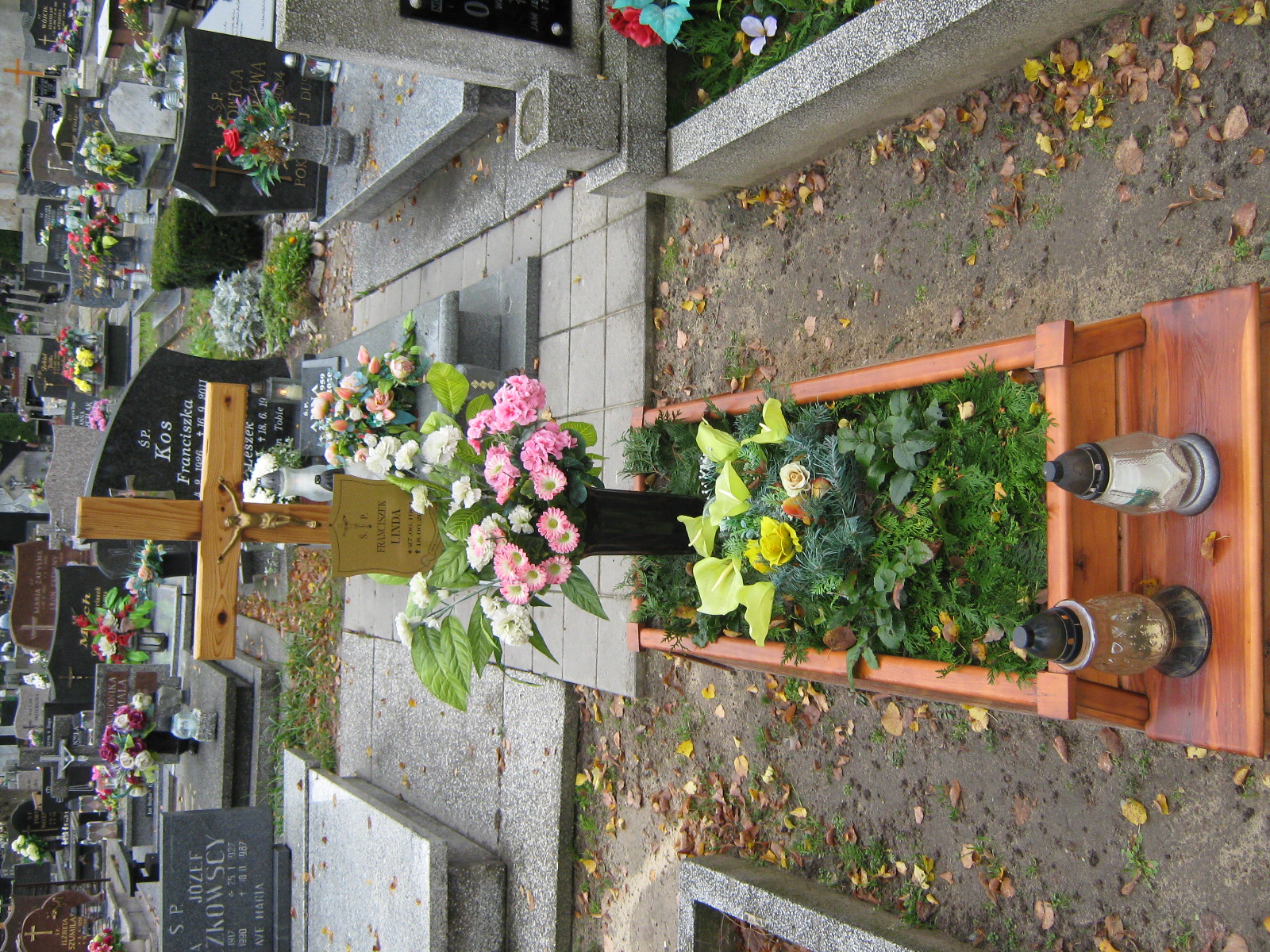 Stefania Jursz 1891 Syców - Grobonet - Wyszukiwarka osób pochowanych