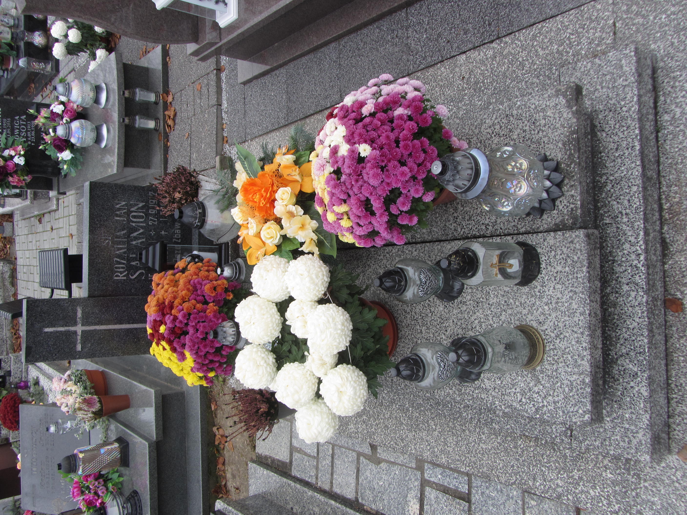 Rozalia Salamon 1914 Syców - Grobonet - Wyszukiwarka osób pochowanych